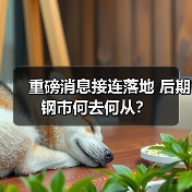 重磅消息接连落地 后期钢市何去何从？