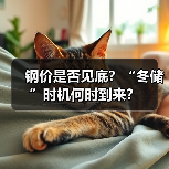钢价是否见底？“冬储”时机何时到来？（图3）