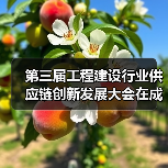 第三届工程建设行业供应链创新发展大会在成都举行,友发集团分享钢管供应链经验(图3) 第三届工程建设行业供应链创新发展大会在成都举行,友发集团分享钢管供应链经验(图3)