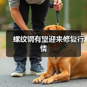 螺纹钢有望迎来修复行情（图4）