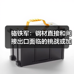 骆铁军：钢材直接和间接出口面临的挑战或加剧（图3）