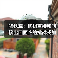 骆铁军：钢材直接和间接出口面临的挑战或加剧（图4）