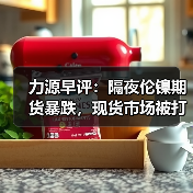 力源早评：隔夜伦镍期货暴跌，现货市场被打回原形（图2）