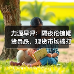 力源早评：隔夜伦镍期货暴跌，现货市场被打回原形（图4）