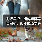 力源早评：镍价期货再显弱势，现货市场变身“扶不起的啊斗”（图4）