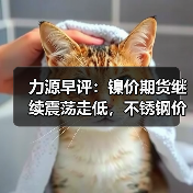 力源早评：镍价期货继续震荡走低，不锈钢价格微调50（图4）