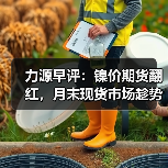 力源早评:镍价期货翻红,月末现货市场趁势出货!(图1) 力源早评:镍价期货翻红,月末现货市场趁势出货!(图1)