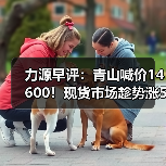 力源早评:青山喊价14600!现货市场趁势涨50调整心态(图3) 力源早评:青山喊价14600!现货市场趁势涨50调整心态(图3)