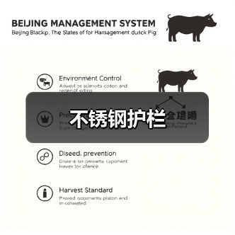 不锈钢护栏（图4）