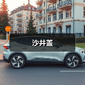 沙井盖（图2）