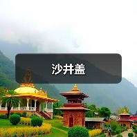 沙井盖（图3）