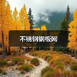 不锈钢钢板网（图3）