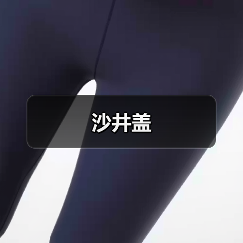 沙井盖（图2）