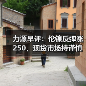 力源早评:伦镍反弹涨250,现货市场持谨慎心态(图4) 力源早评:伦镍反弹涨250,现货市场持谨慎心态(图4)