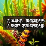 力源早评:镍价期货无力反弹?不锈钢现货报涨50-100!(图4) 力源早评:镍价期货无力反弹?不锈钢现货报涨50-100!(图4)