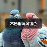 不锈钢屏风镀色（图3）