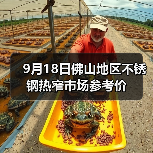 9月18日佛山地区不锈钢热窄市场参考价
