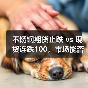 不锈钢期货止跌 vs 现货连跌100,市场能否扭转颓势?(图2) 不锈钢期货止跌 vs 现货连跌100,市场能否扭转颓势?(图2)