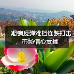 期镍反弹难挡连跌打击，市场信心受挫（图2）