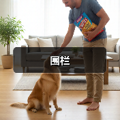 围栏