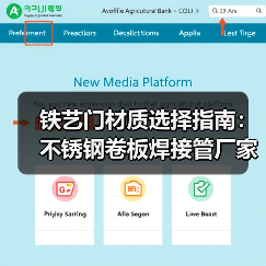 铁艺门材质选择指南:不锈钢卷板焊接管厂家推荐(图4) 铁艺门材质选择指南:不锈钢卷板焊接管厂家推荐(图4)