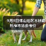 9月8日佛山地区不锈钢热窄市场参考价