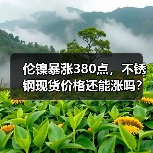 伦镍暴涨380点，不锈钢现货价格还能涨吗？（图2）