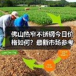佛山热窄不锈钢今日价格如何？最新市场参考价一览