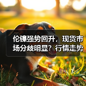 伦镍强势回升,现货市场分歧明显?行情走势如何?(图1) 伦镍强势回升,现货市场分歧明显?行情走势如何?(图1)