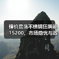 镍价震荡不锈钢狂飙破15200，市场隐忧与政策预期如何博弈？（图2）