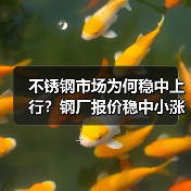 不锈钢市场为何稳中上行？钢厂报价稳中小涨引关注