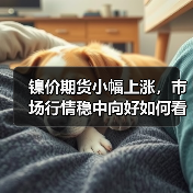 镍价期货小幅上涨，市场行情稳中向好如何看？（图4）