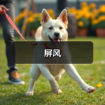 屏风(图2) 屏风(图2)