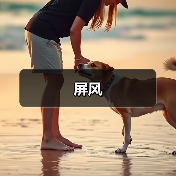 屏风（图3）