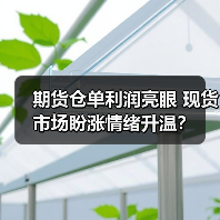 期货仓单利润亮眼 现货市场盼涨情绪升温?(图4) 期货仓单利润亮眼 现货市场盼涨情绪升温?(图4)