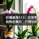 伦镍暴涨515!现货市场热度飙升,行情如何解读?(图4) 伦镍暴涨515!现货市场热度飙升,行情如何解读?(图4)