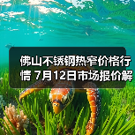 佛山不锈钢热窄价格行情 7月12日市场报价解析（图2）
