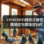 L450(X65)精密冷拔管:高精度与高强度如何实现?(图1) L450(X65)精密冷拔管:高精度与高强度如何实现?(图1)