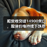 期货难突破14900关口,现货价格持续下跌原因解析(图4) 期货难突破14900关口,现货价格持续下跌原因解析(图4)