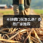 不锈钢门花怎么选?优质厂家推荐(图4) 不锈钢门花怎么选?优质厂家推荐(图4)
